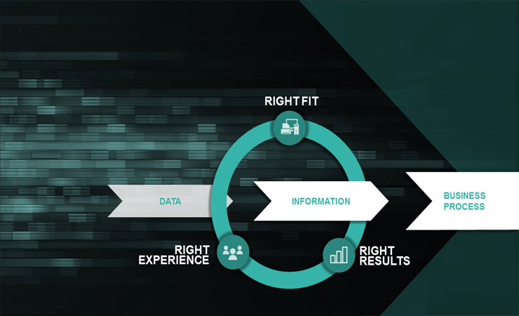 ecosystem_graphic