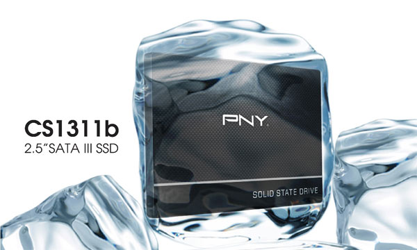 pny_ssd_cs1311b