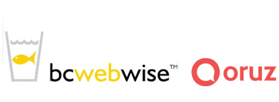 BC Web Wise Partners Qoruz